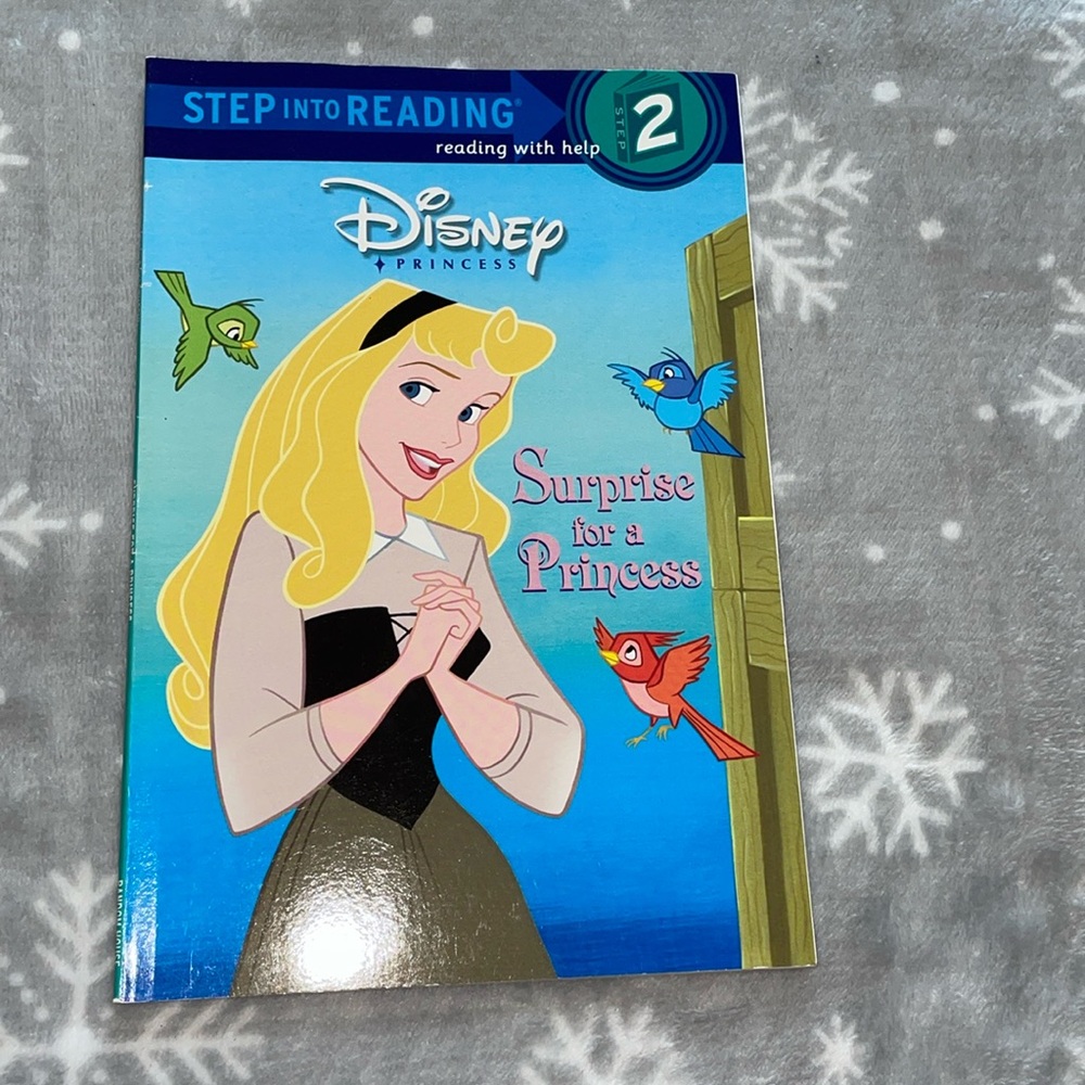 Surprise for a Princess Book